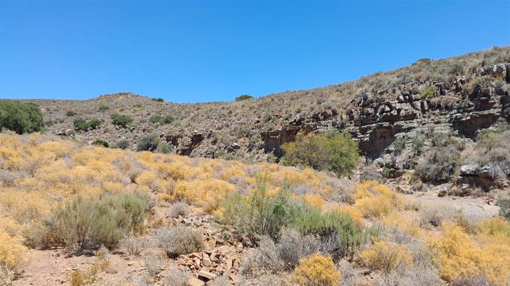 2500 ha Land available in Montagu photo number 26