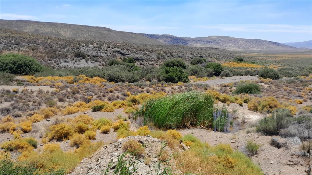 2500 ha Land available in Montagu photo number 16