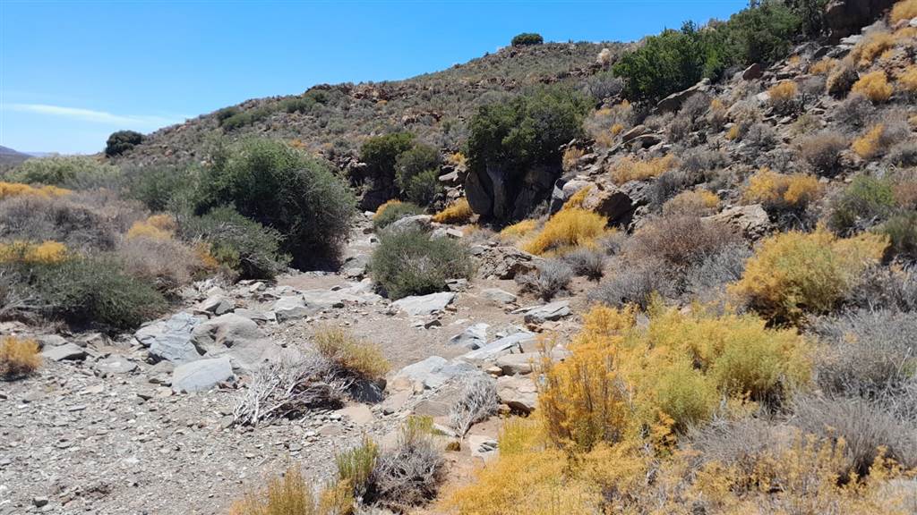 2500 ha Land available in Montagu photo number 11