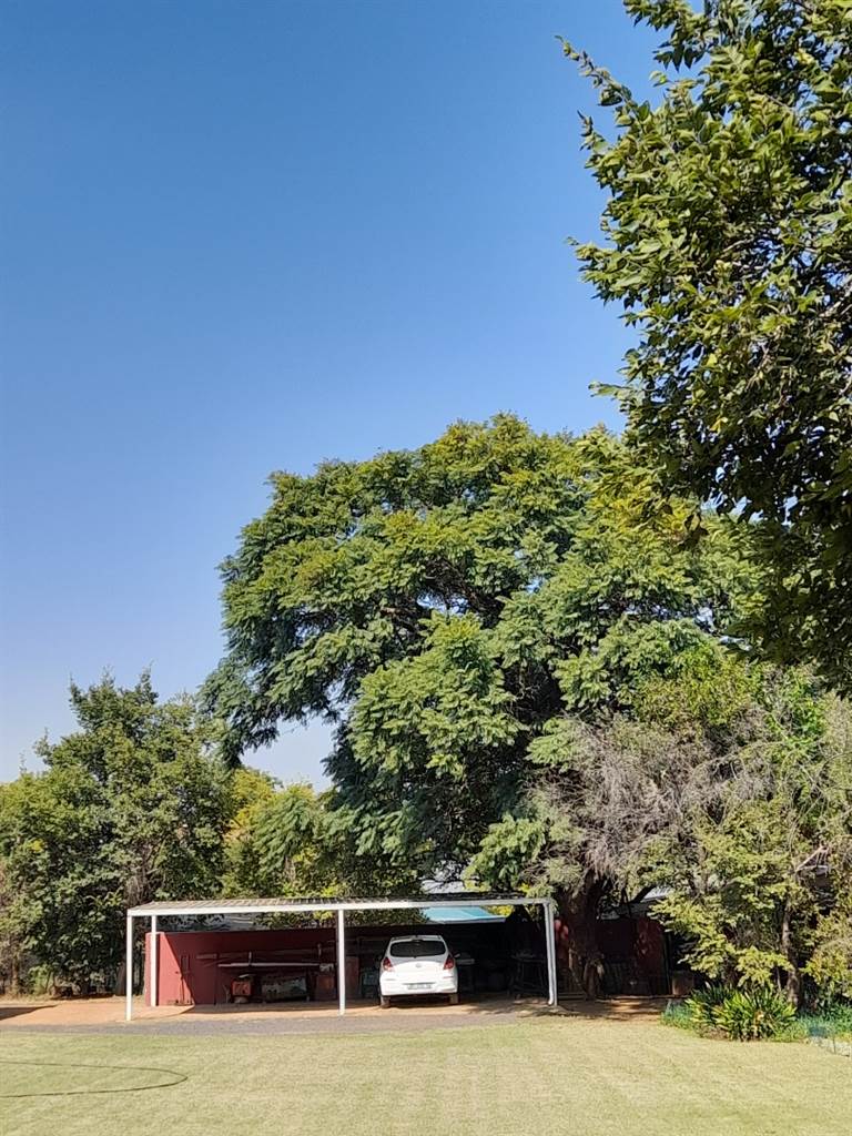 1.5 ha Farm in Rietfontein photo number 23