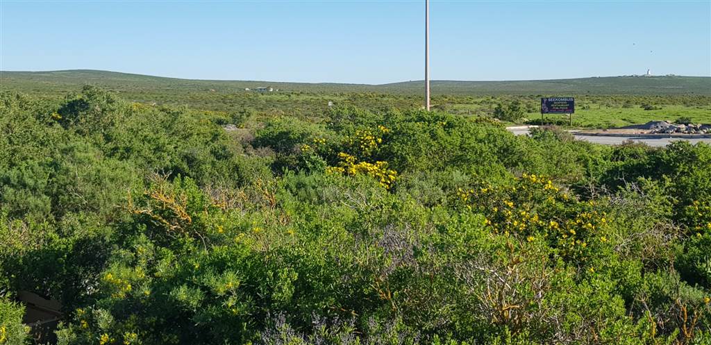 512 m² Land available in Paternoster photo number 6