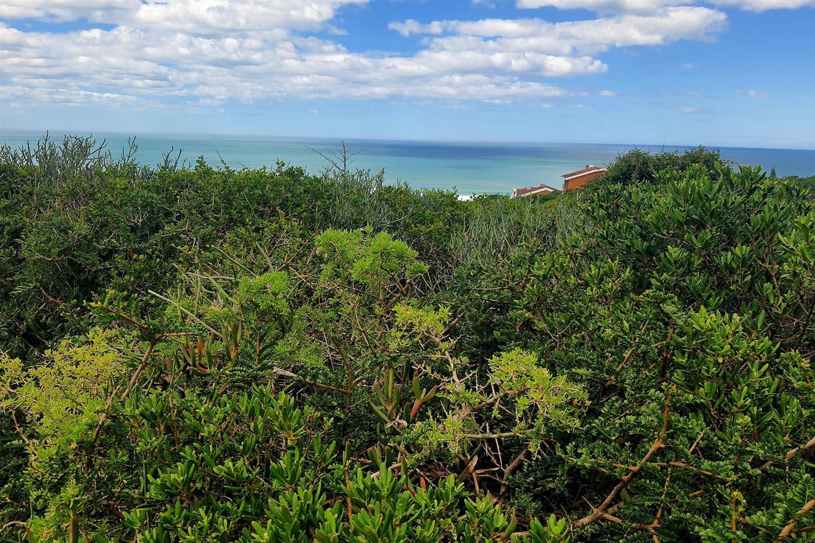 897 m² Land available in Boggomsbaai photo number 13