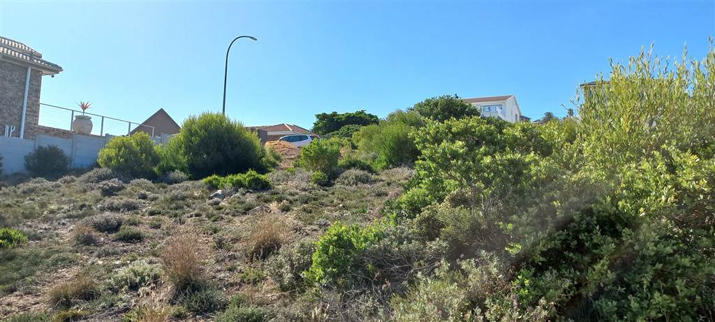 735 m² Land available in Dana Bay photo number 8