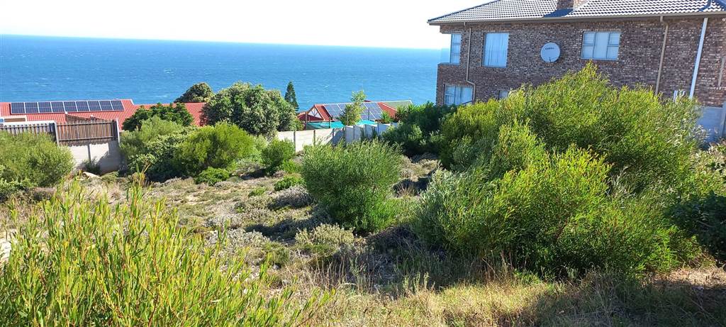 735 m² Land available in Dana Bay photo number 5