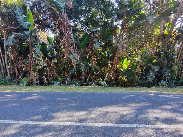 1 384 m² Land