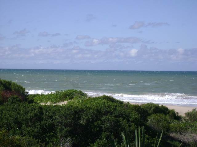 729 m² Land available in Paradise Beach photo number 11
