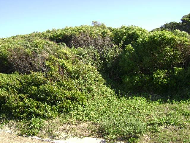 729 m² Land available in Paradise Beach photo number 7