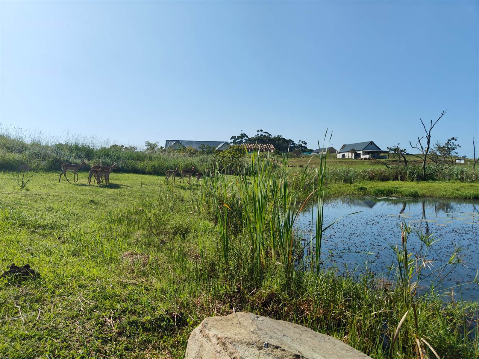 2703 m² Land available in Springvale Country Estate photo number 28