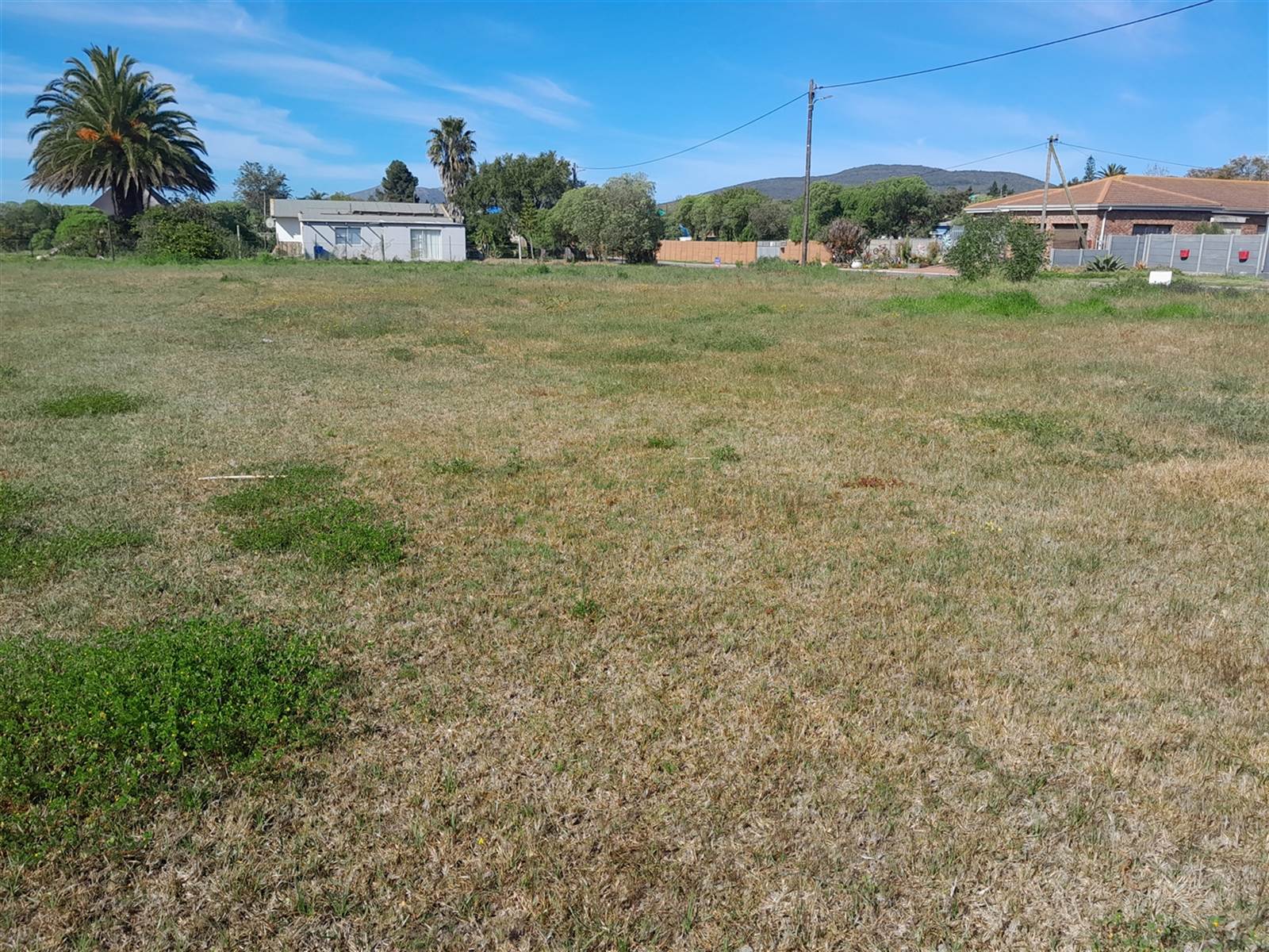 1568 m² Land available in Albertinia photo number 4