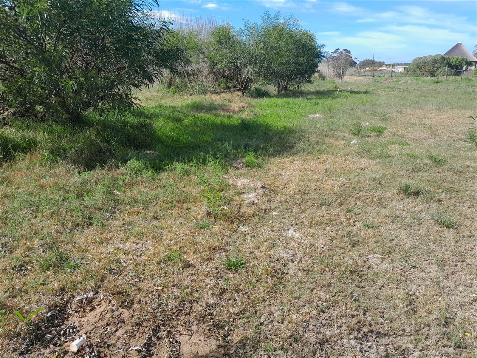 1568 m² Land available in Albertinia photo number 5