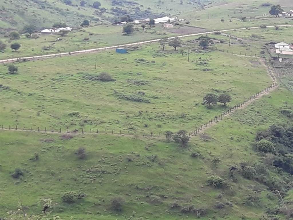 8.5 ha Farm in Umbumbulu photo number 8