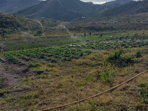 8 m² Farm in Umbumbulu