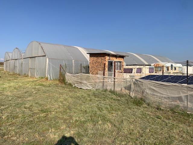 4.3 ha Farm in Mooiplaats AH photo number 19
