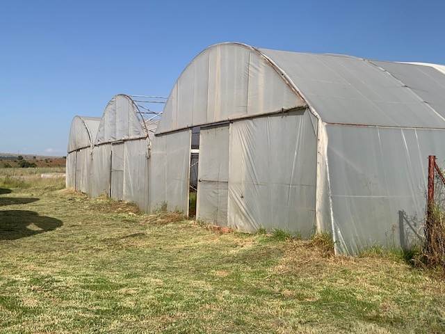 4.3 ha Farm in Mooiplaats AH photo number 17