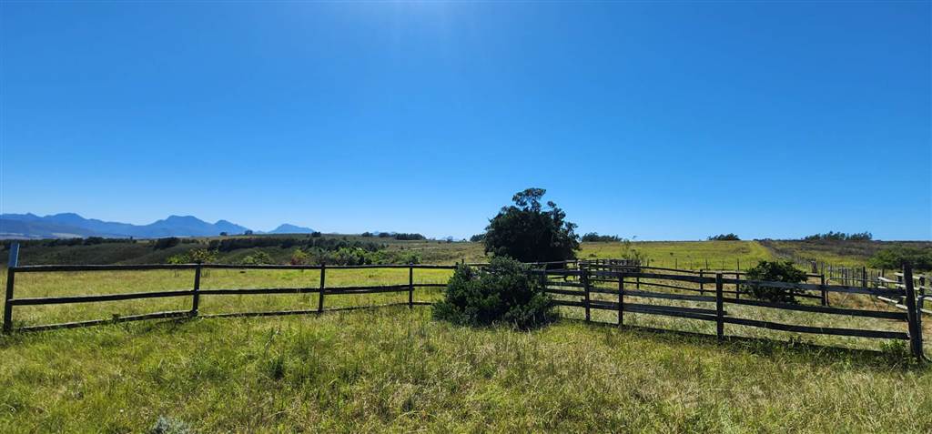 684 ha Farm in Mossel Bay Central photo number 3