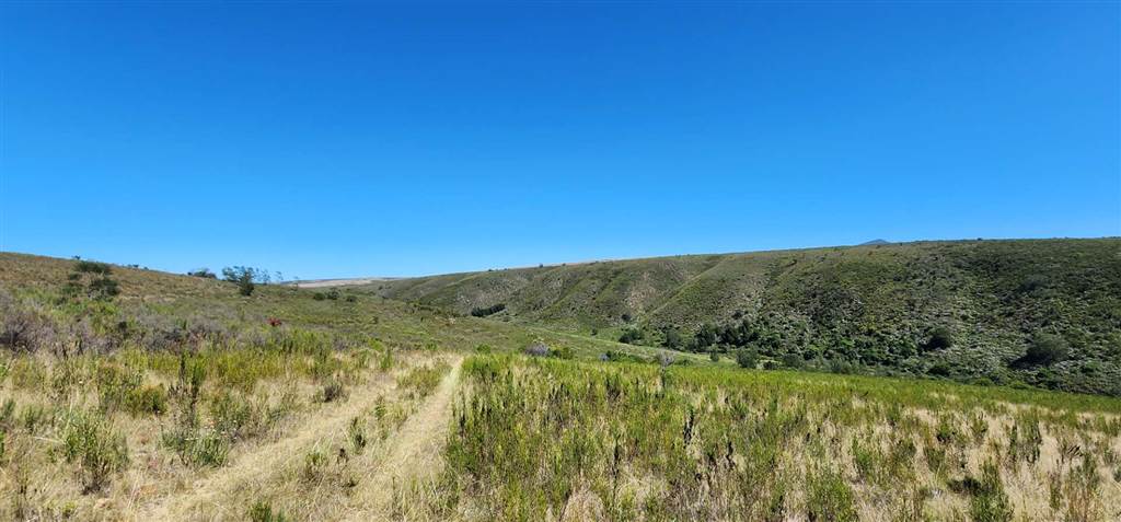 684 ha Farm in Mossel Bay Central photo number 19