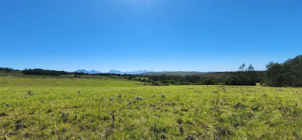 684 ha Farm in Mossel Bay Central photo number 11