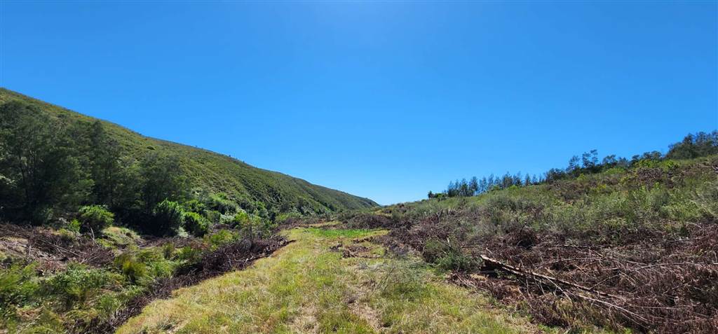 684 ha Farm in Mossel Bay Central photo number 21