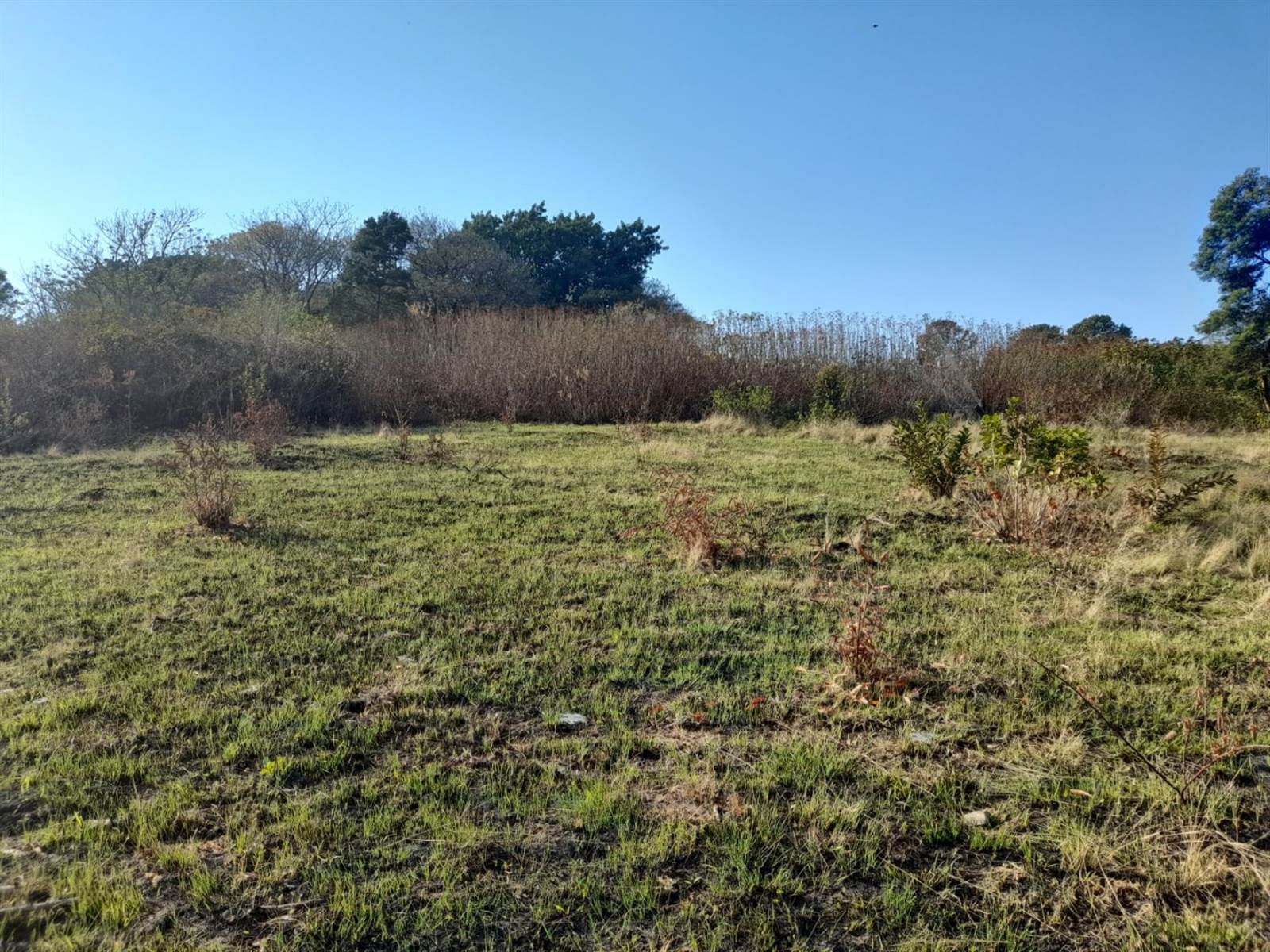6272 m² Land available in Umbumbulu photo number 5