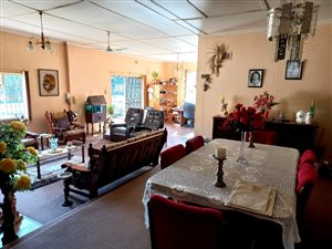 4.6 ha Smallholding in Greytown
