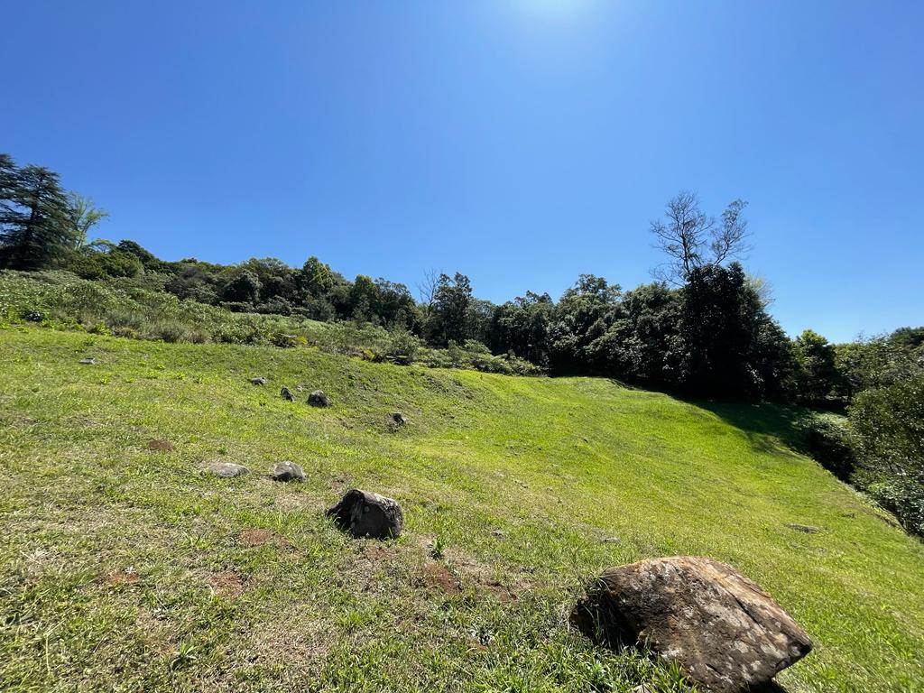 4000 m² Land available in Mount Michael photo number 5