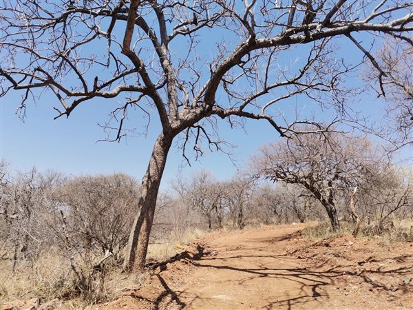 2 600 m² Land 2 600 m² Land