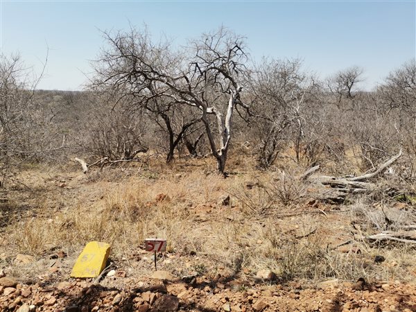 2 600 m² Land 2 600 m² Land