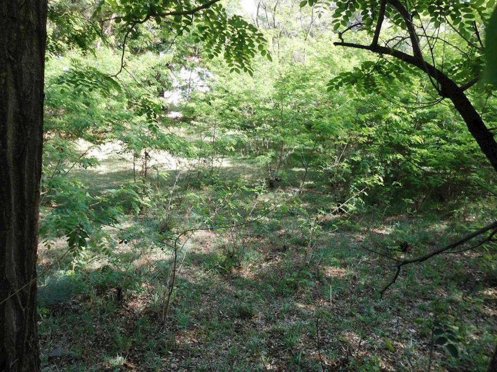 1070 m² Land available in Rhodes photo number 5