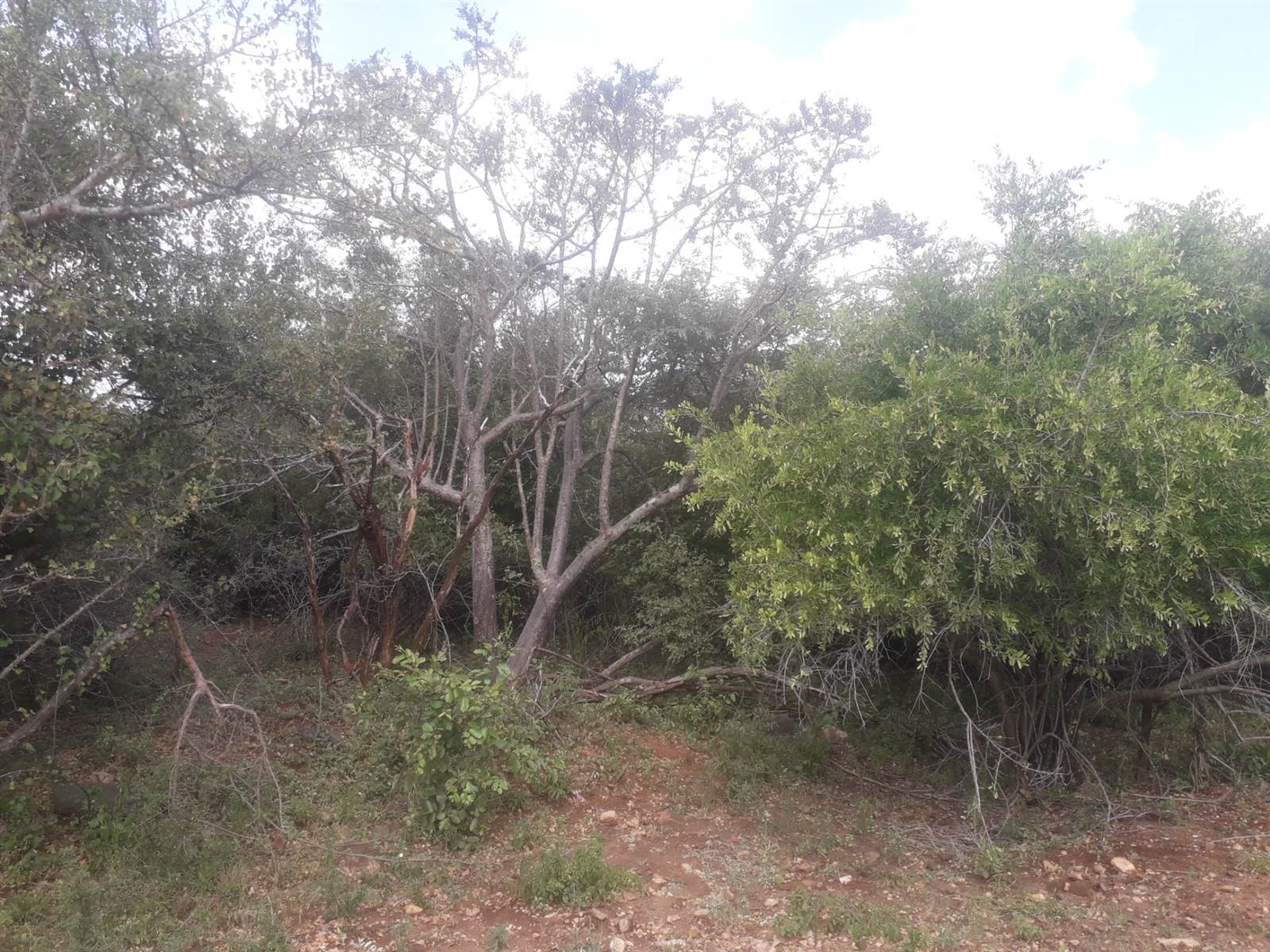 1600 m² Land available in Marloth Park photo number 6