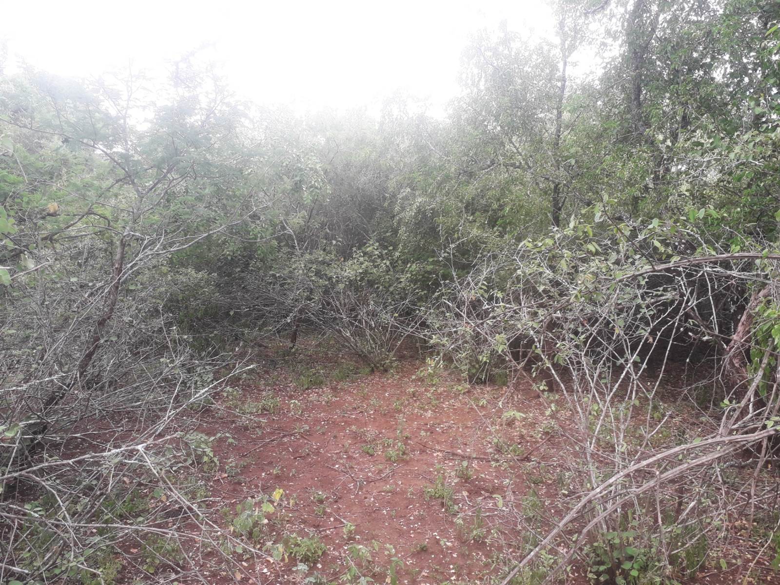1600 m² Land available in Marloth Park photo number 4