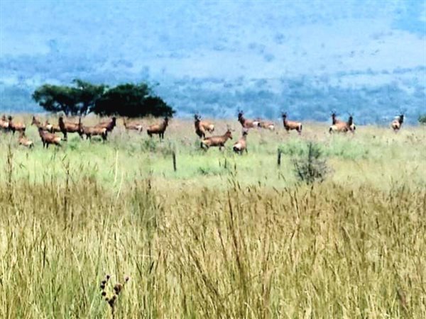 700 ha Farm