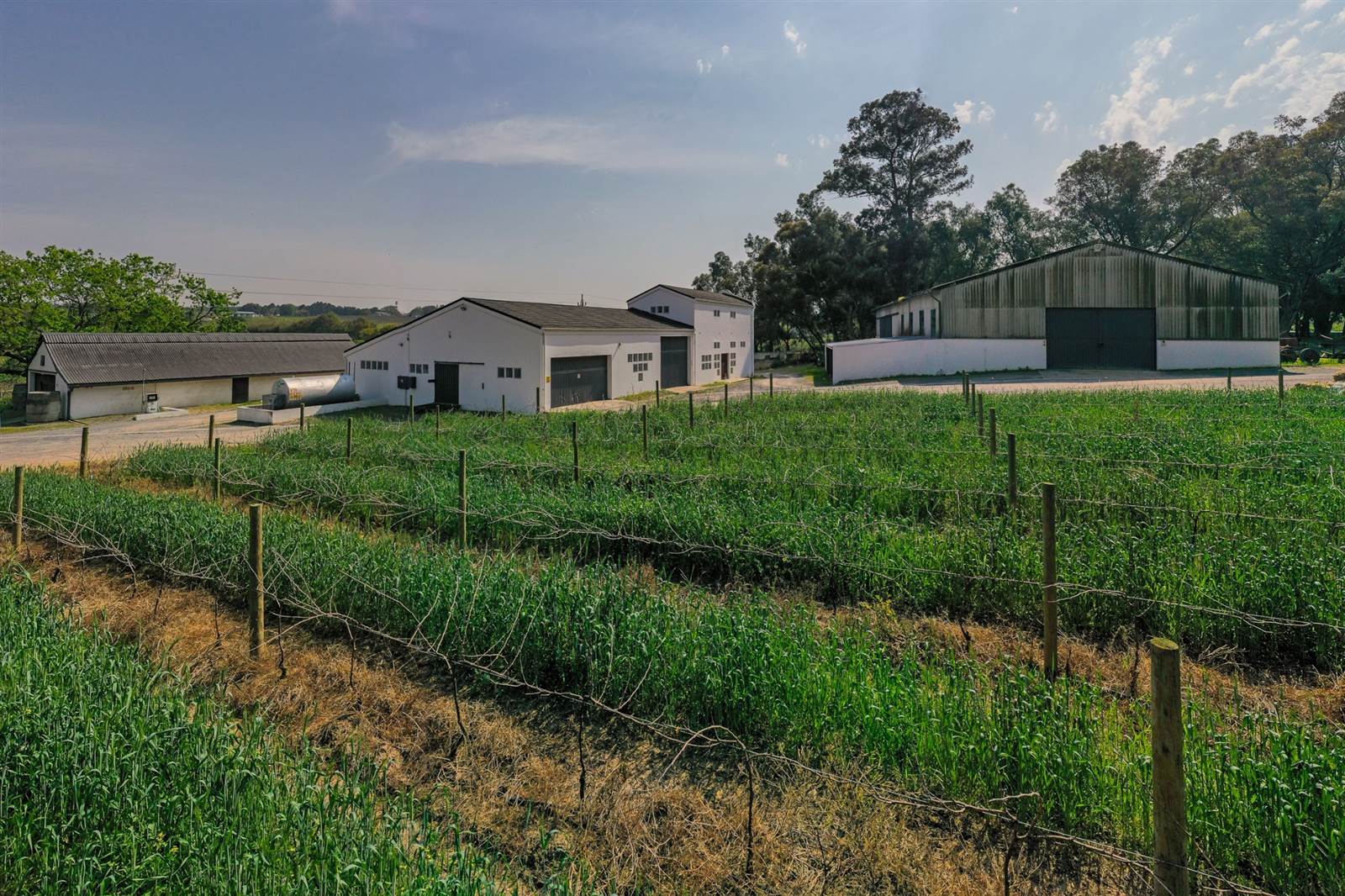 160 ha Farm in Stellenbosch Agricultural photo number 27