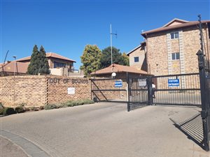 1 Bed Apartment in Willow Glen
