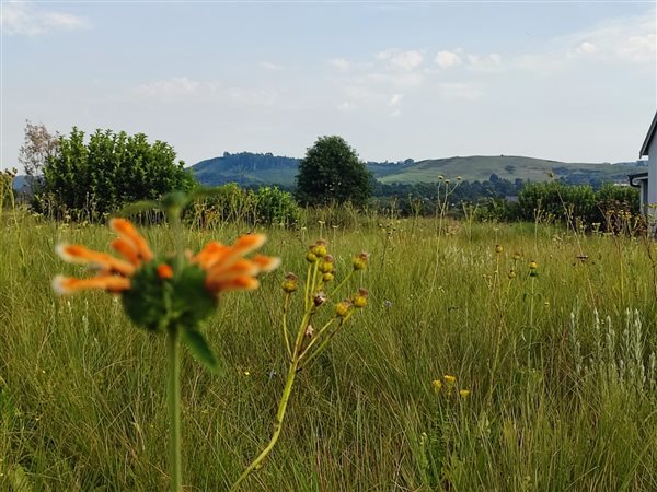 1 508 m² Land 1 508 m² Land