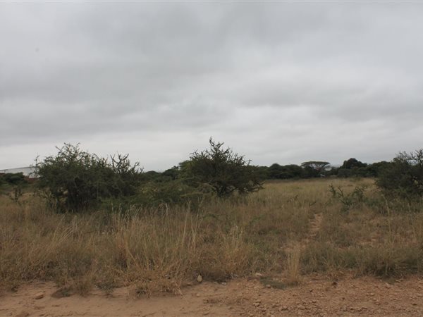 9931 m² Land available in Polokwane Central