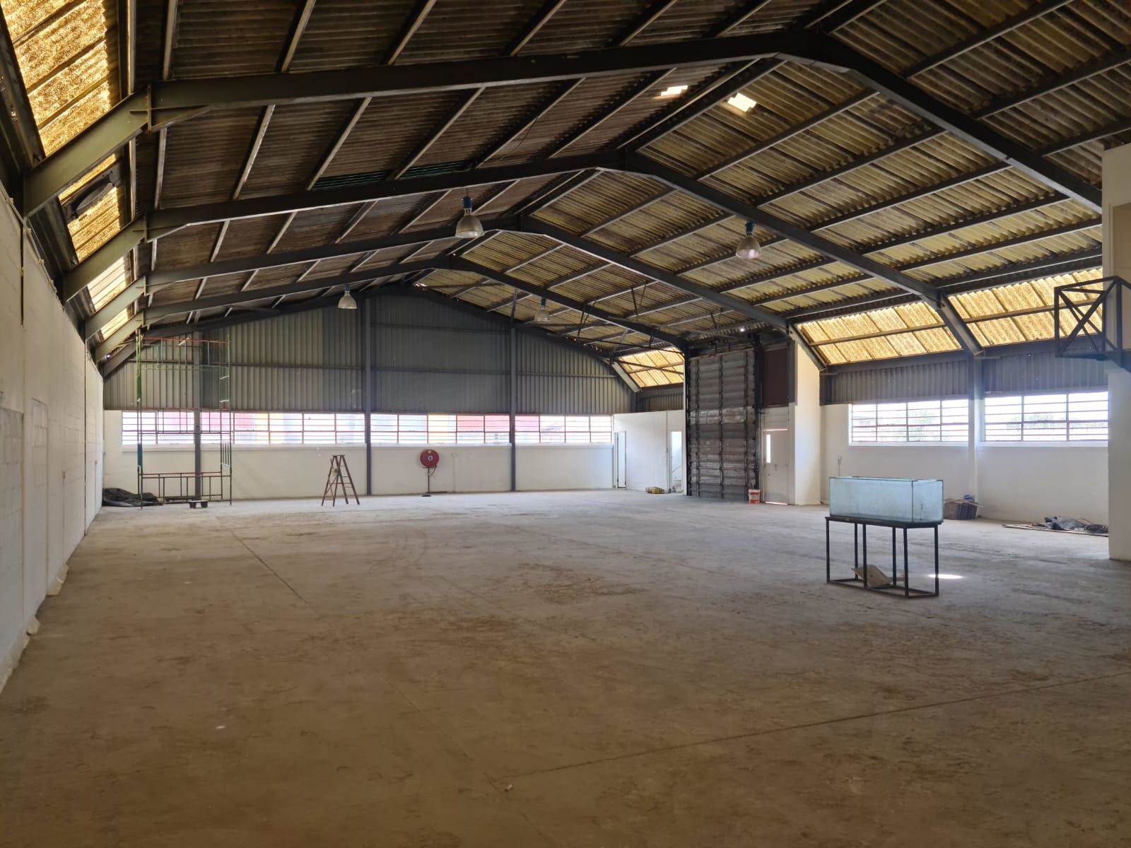556  m² Industrial space in Retreat photo number 3