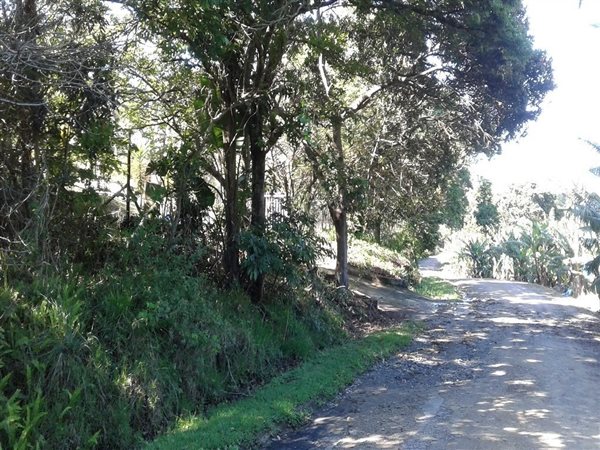 2276 m² Land available in Southbroom