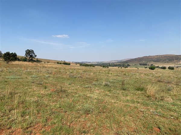 10 ha Land