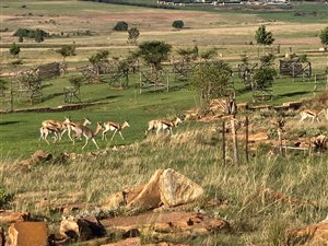 1 ha Land available in Bronkhorstbaai