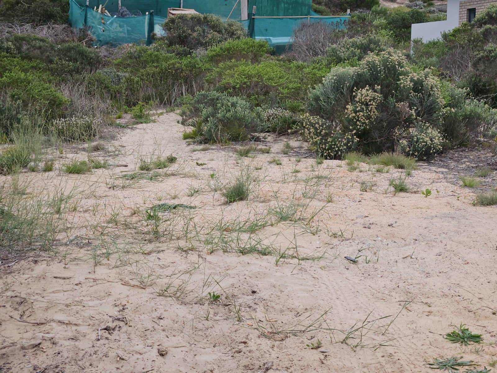 558 m² Land available in Stilbaai photo number 7