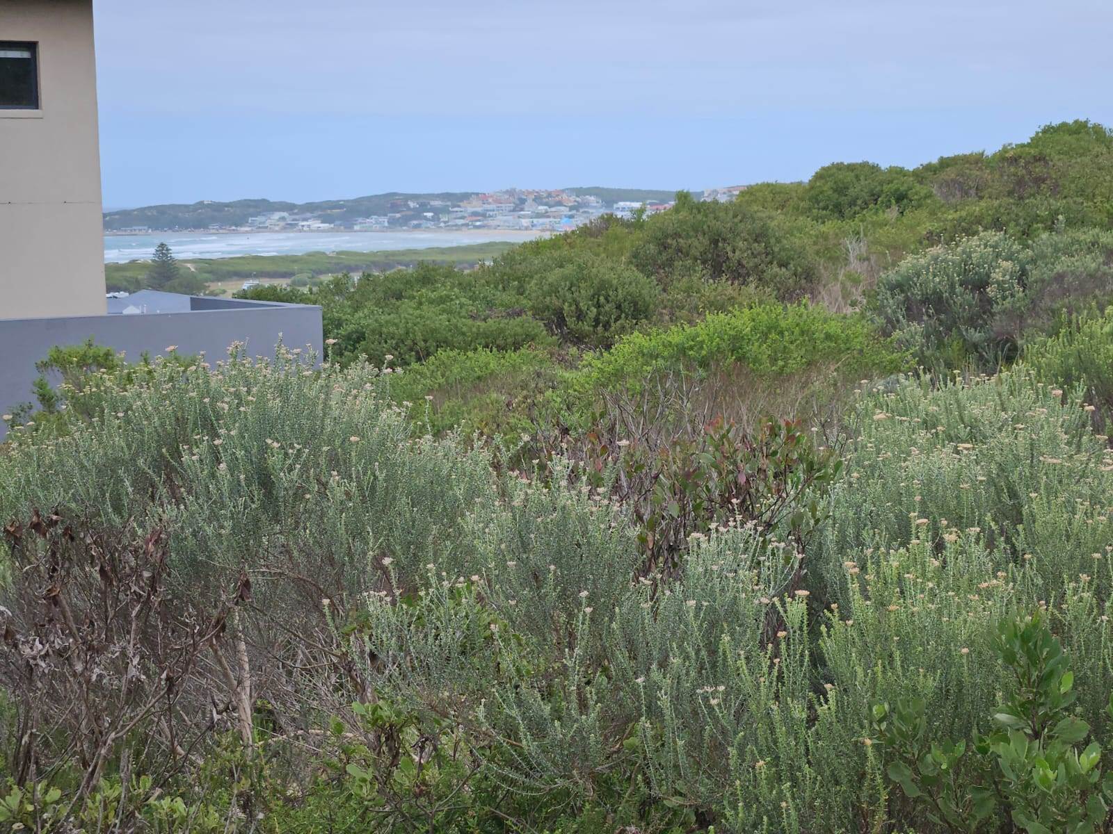 558 m² Land available in Stilbaai photo number 4