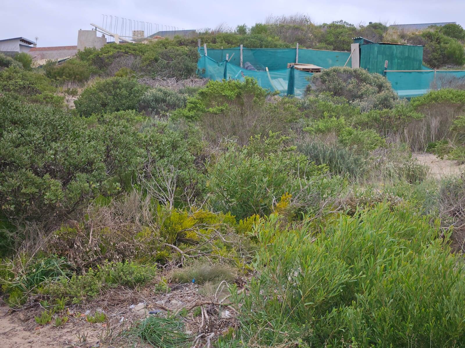 558 m² Land available in Stilbaai photo number 17