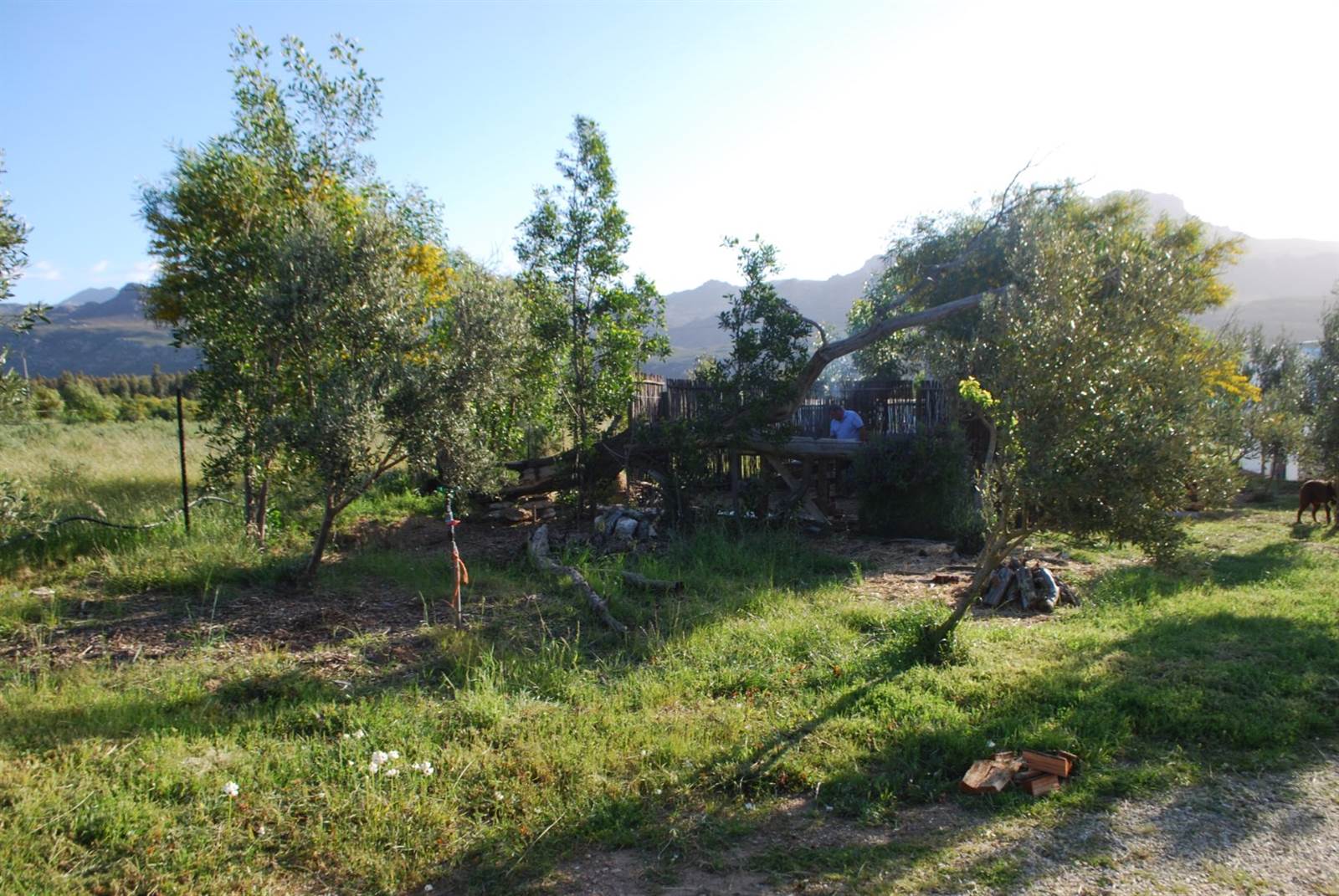 3060 m² Farm in Tulbagh photo number 22