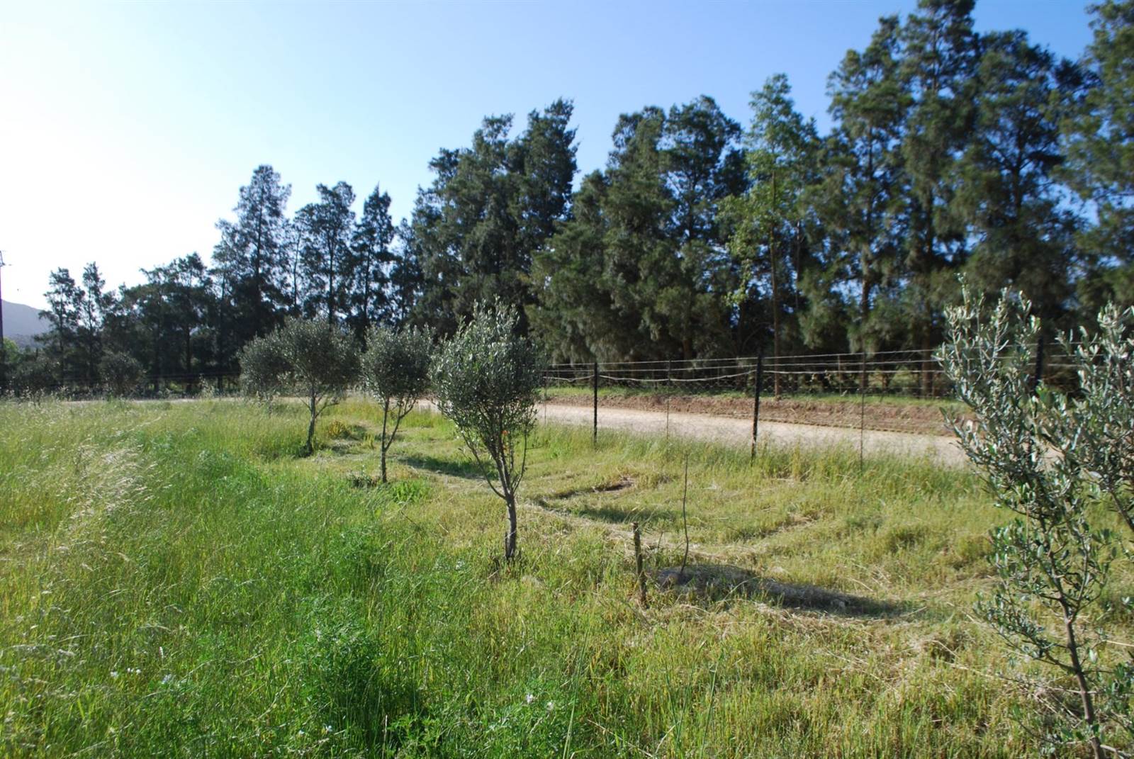 3060 m² Farm in Tulbagh photo number 10
