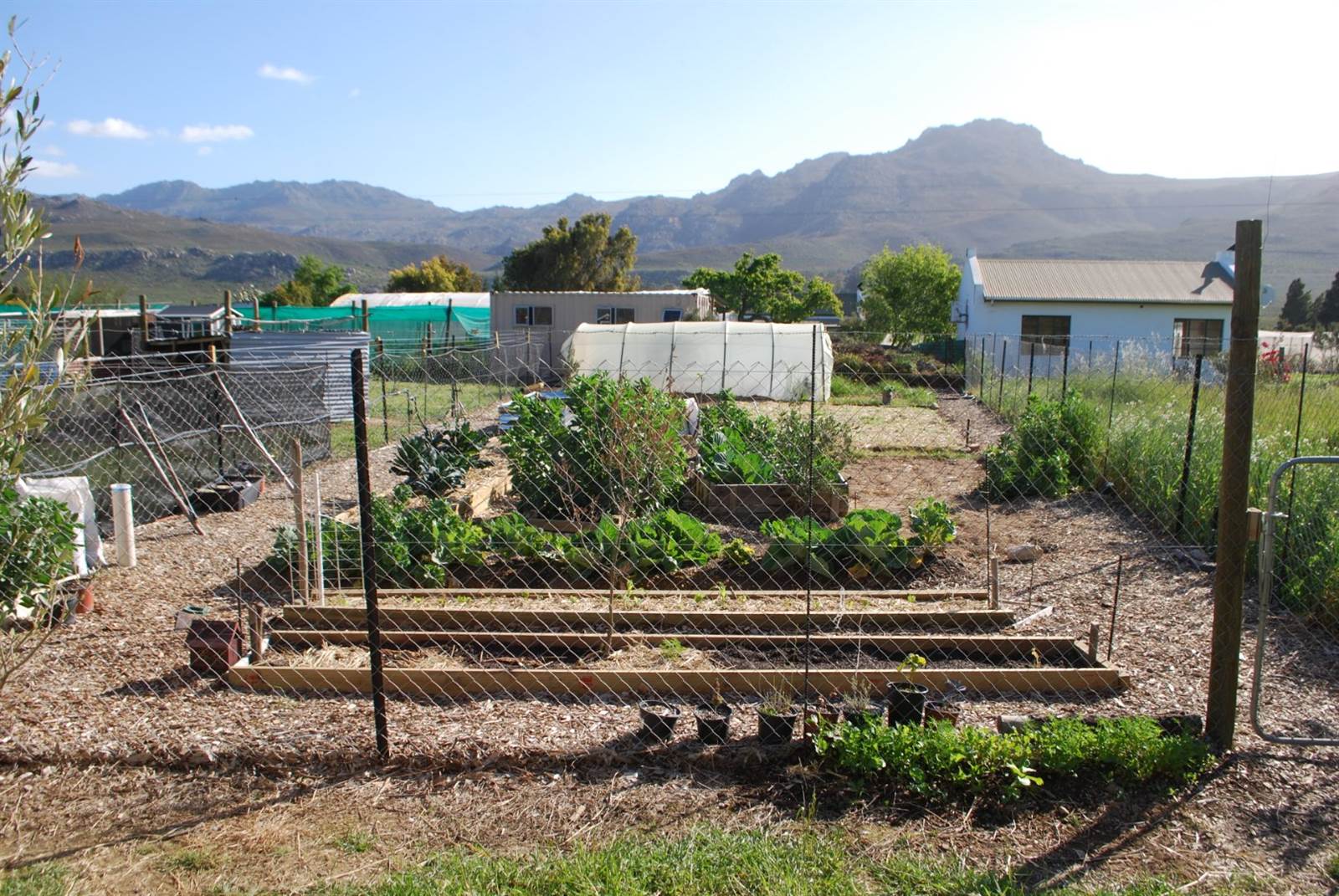 3060 m² Farm in Tulbagh photo number 8
