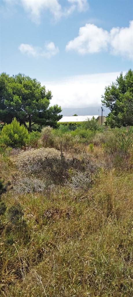 1338 m² Land available in Fisherhaven photo number 5
