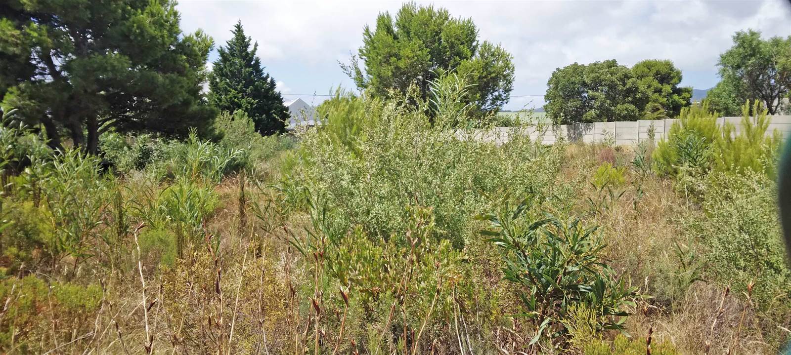 1338 m² Land available in Fisherhaven photo number 6