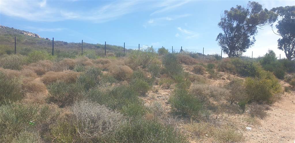 357 m² Land available in St Helena Views photo number 10