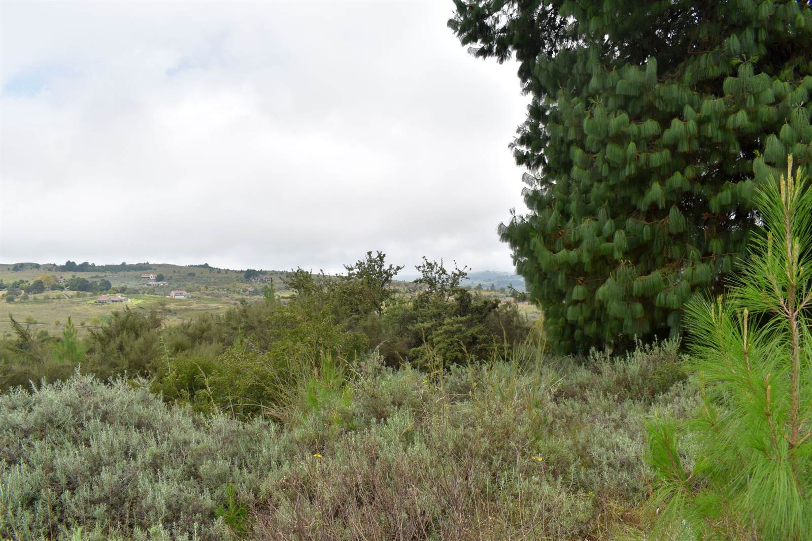 4644 m² Land available in Dullstroom photo number 2