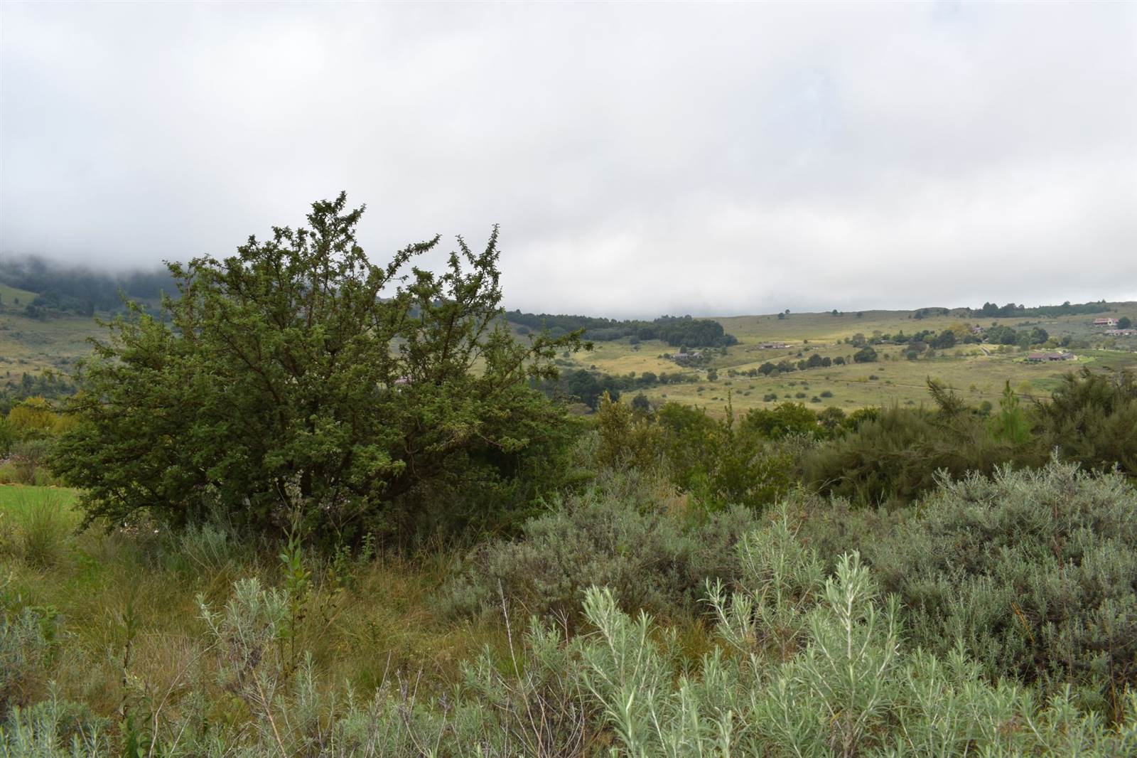 4644 m² Land available in Dullstroom photo number 7